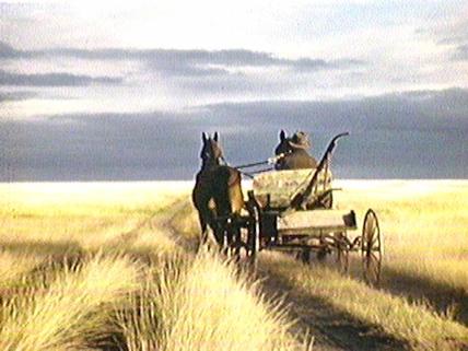 Windbreaks on the Prairies