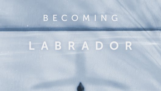 Becoming Labrador